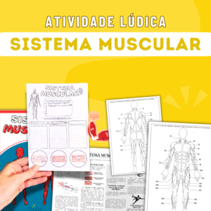 Atividade Lúdica - Sistema Muscular