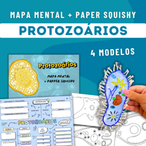Mapa Mental + Paper Squishy - Protozoários