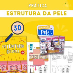 Estrutura da Pele Humana 3D