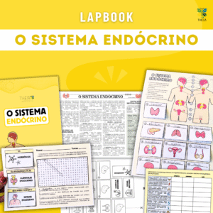 LapBook - Sistema Endócrino