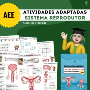 AEE - Atividades Adaptadas - Sistema Reprodutor