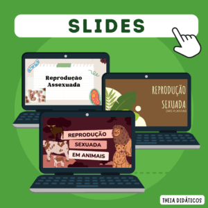 COMBO -  SLIDES REPRODUÇÃO SEXUADA (PLANTAS E ANIMAIS) E ASSEXUADA